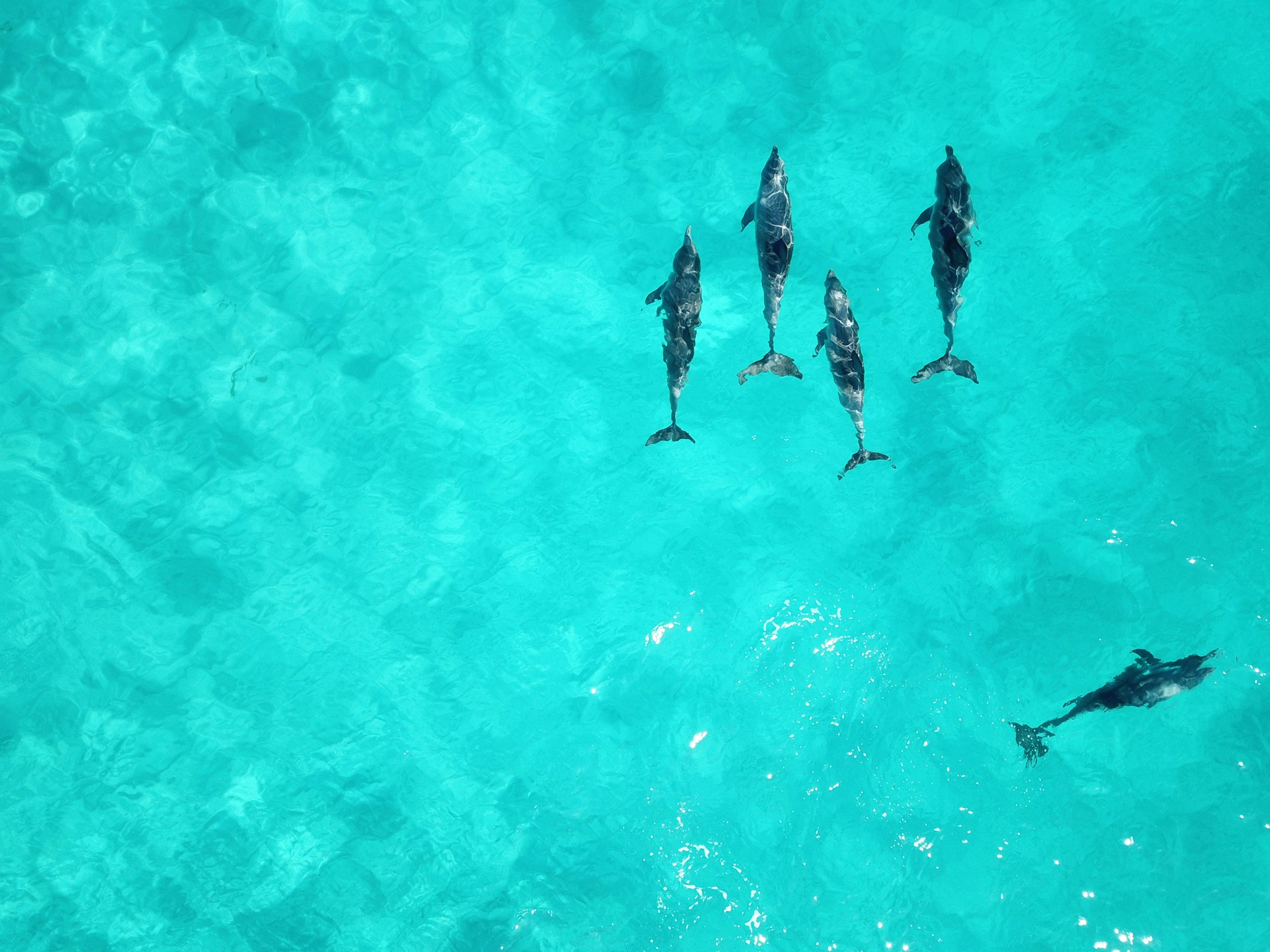 Finding Clarity in a World That Thrives on Distraction